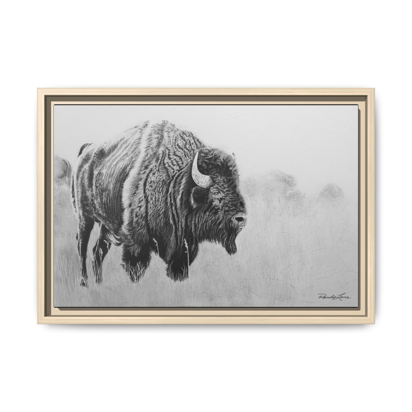 Prairie Bison, Bison Painting Framed Matte Canvas Print — Black & White Wildlife Wall Art