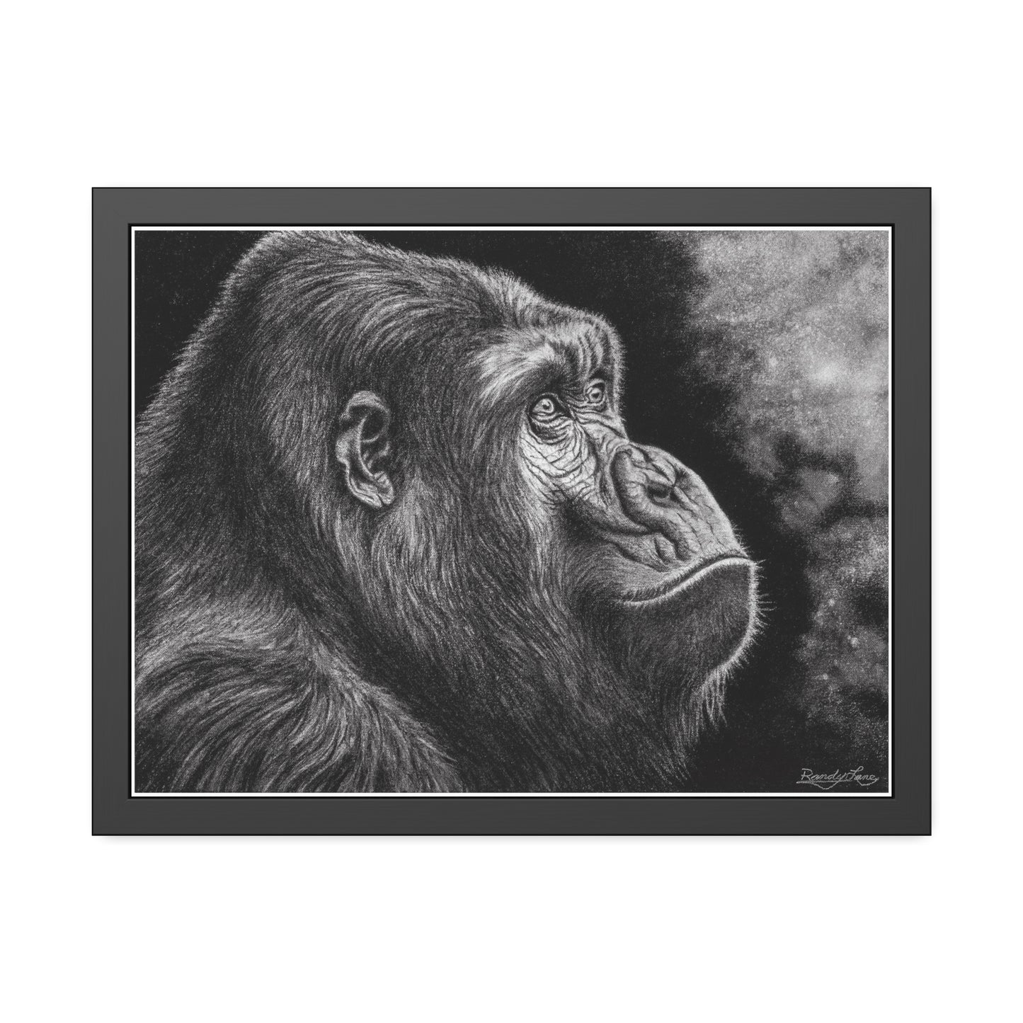 Gorilla, Framed Fine Art Print