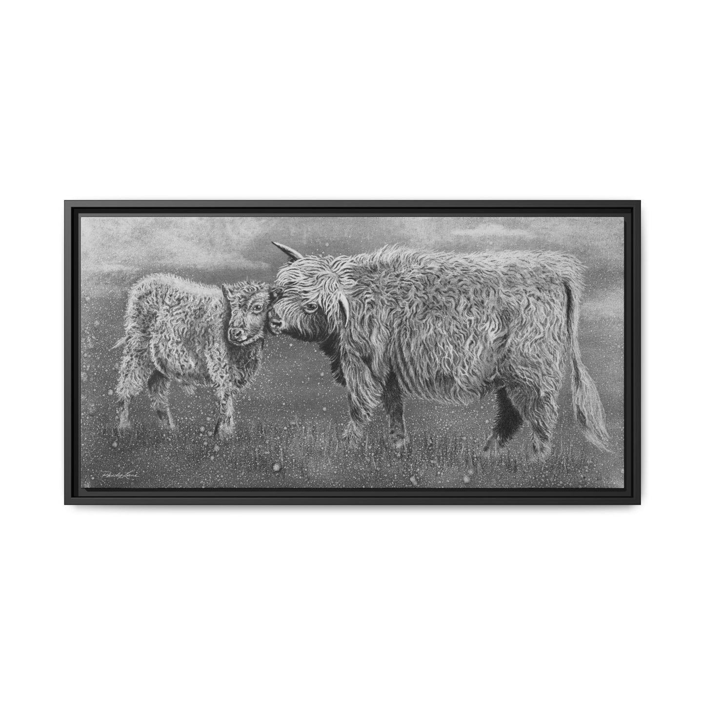 Highland Love, Highland Cattle Framed Canvas Art Print