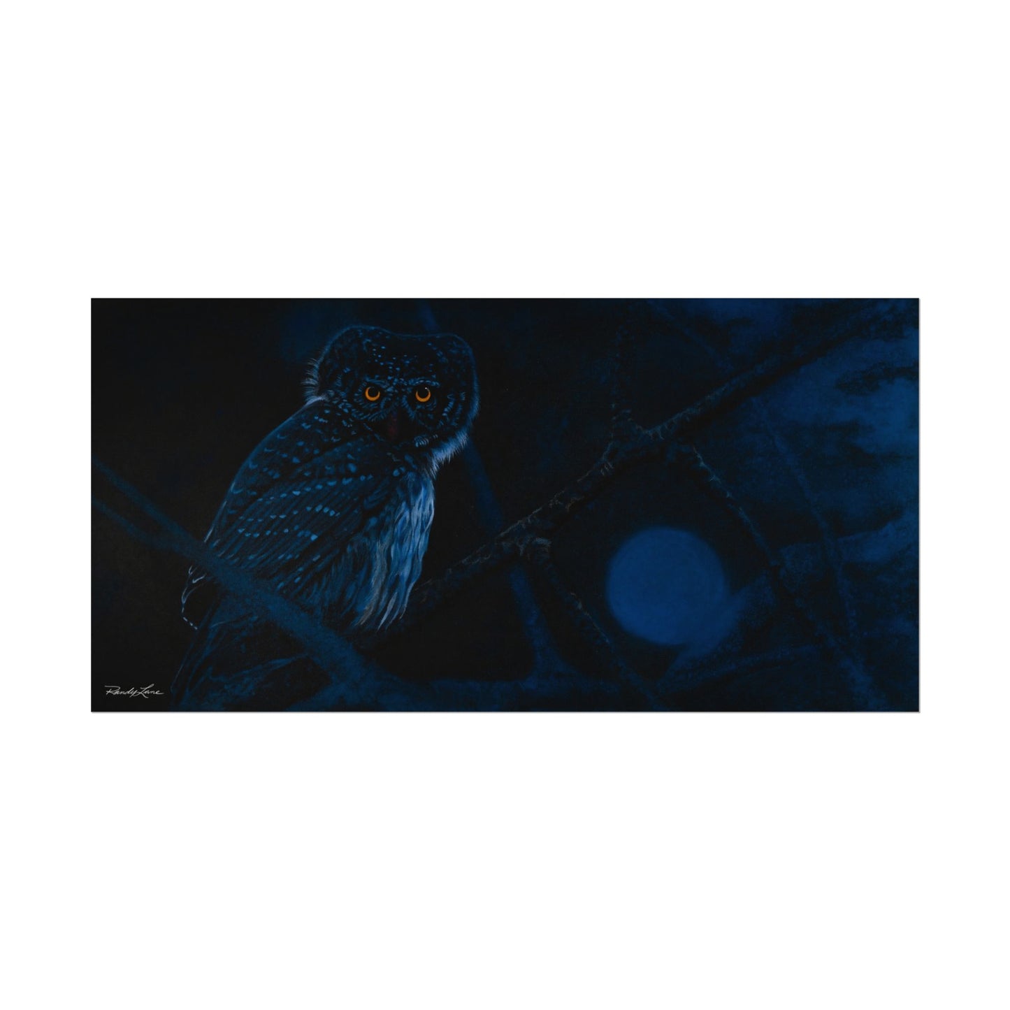 Bright Eyes, Owl Textured Art Print