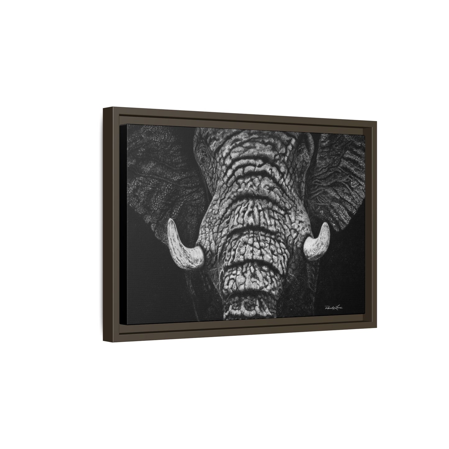 Ebony and Ivory, Elephant Portrait Framed Canvas Wall Art