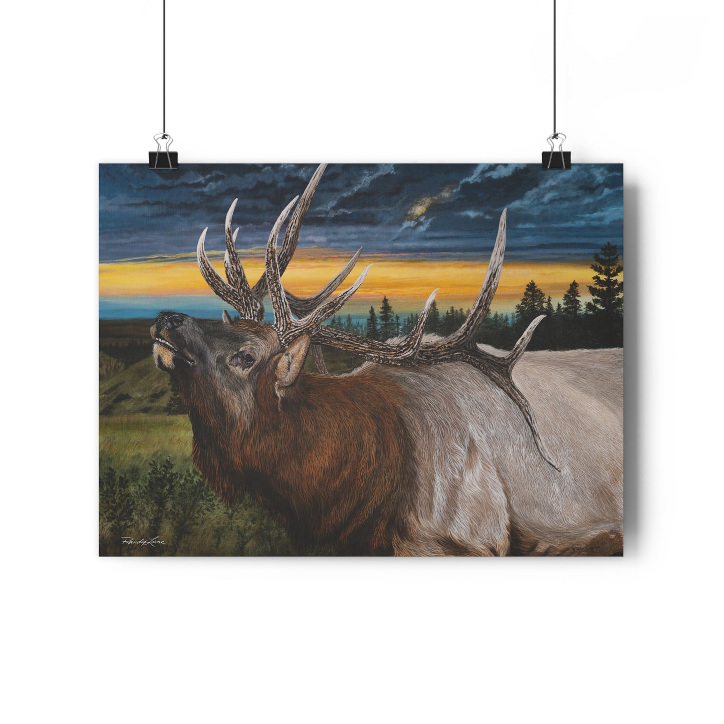 Sunset Serenade, Majestic Elk Giclée Art Print