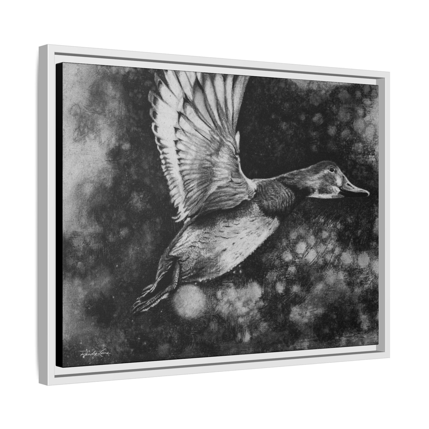 Flare, Framed Duck Canvas Art