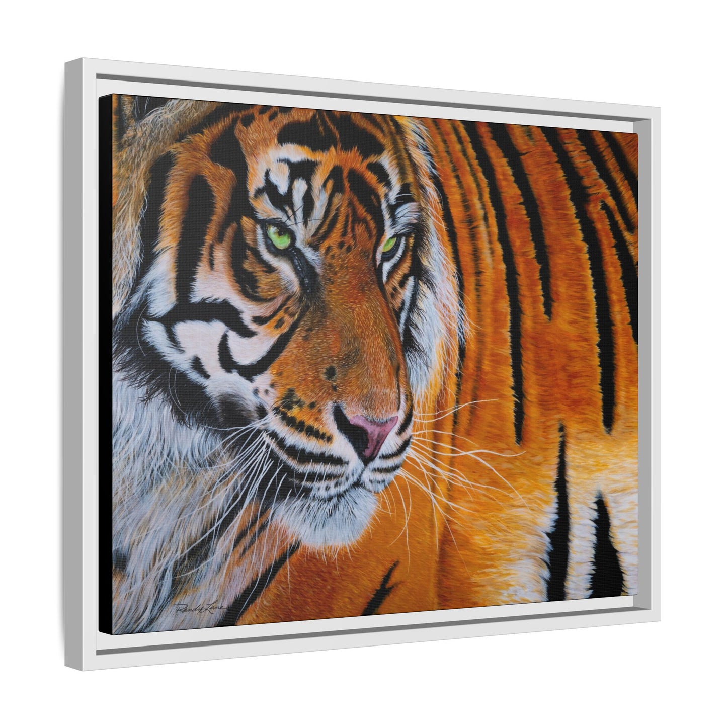 Tiger Stripe, Framed Tiger Canvas Print