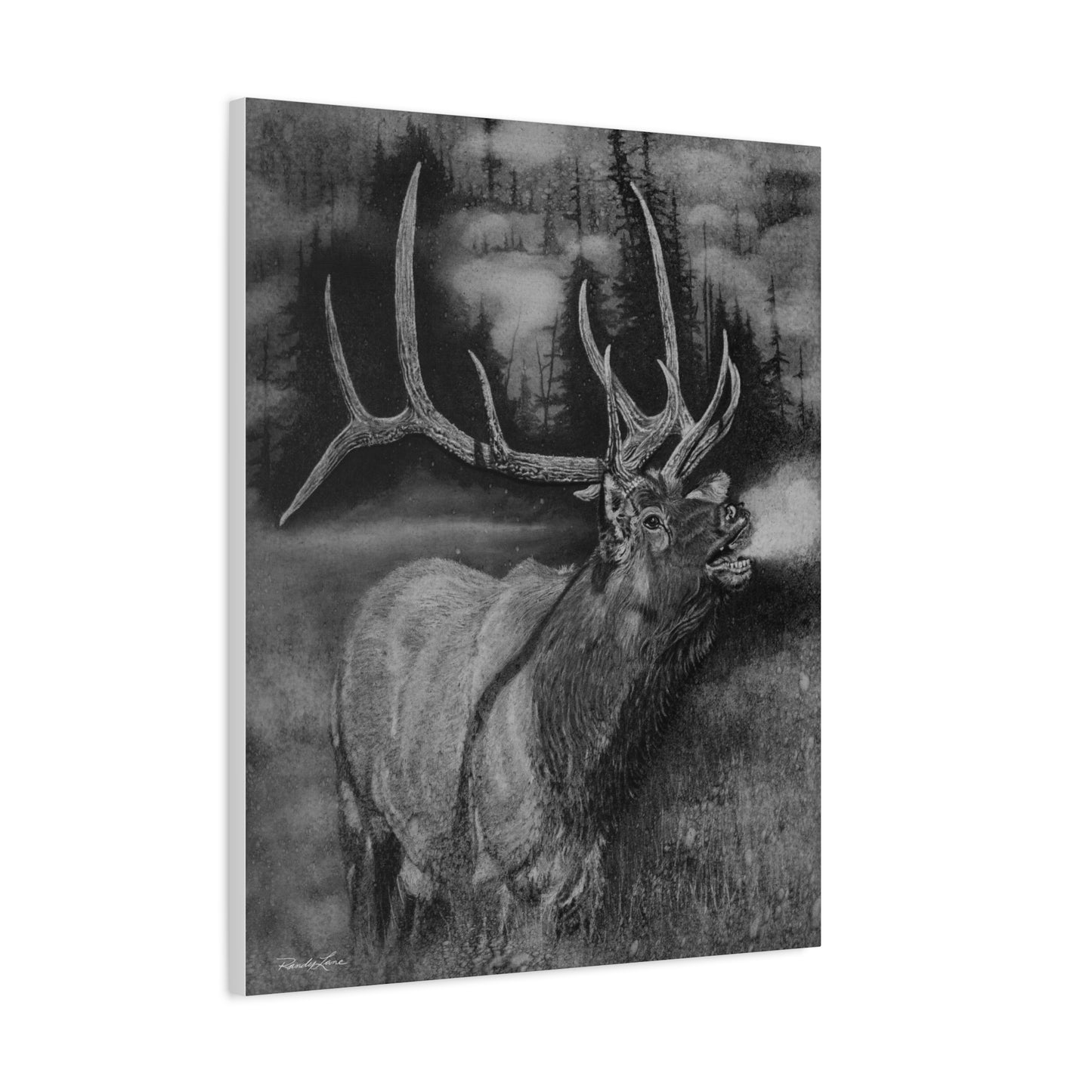 Mountain Music,  Elk Canvas Print