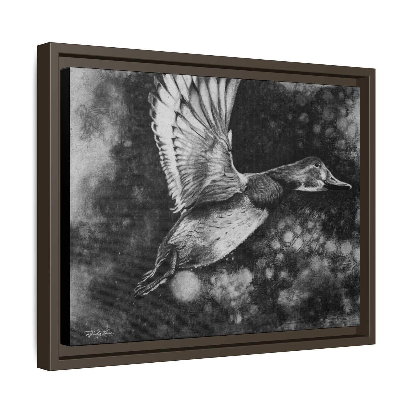 Flare, Framed Duck Canvas Art