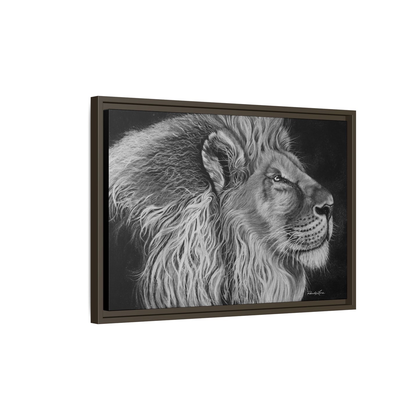 King of Cool, Majestic Lion Framed Canvas Art