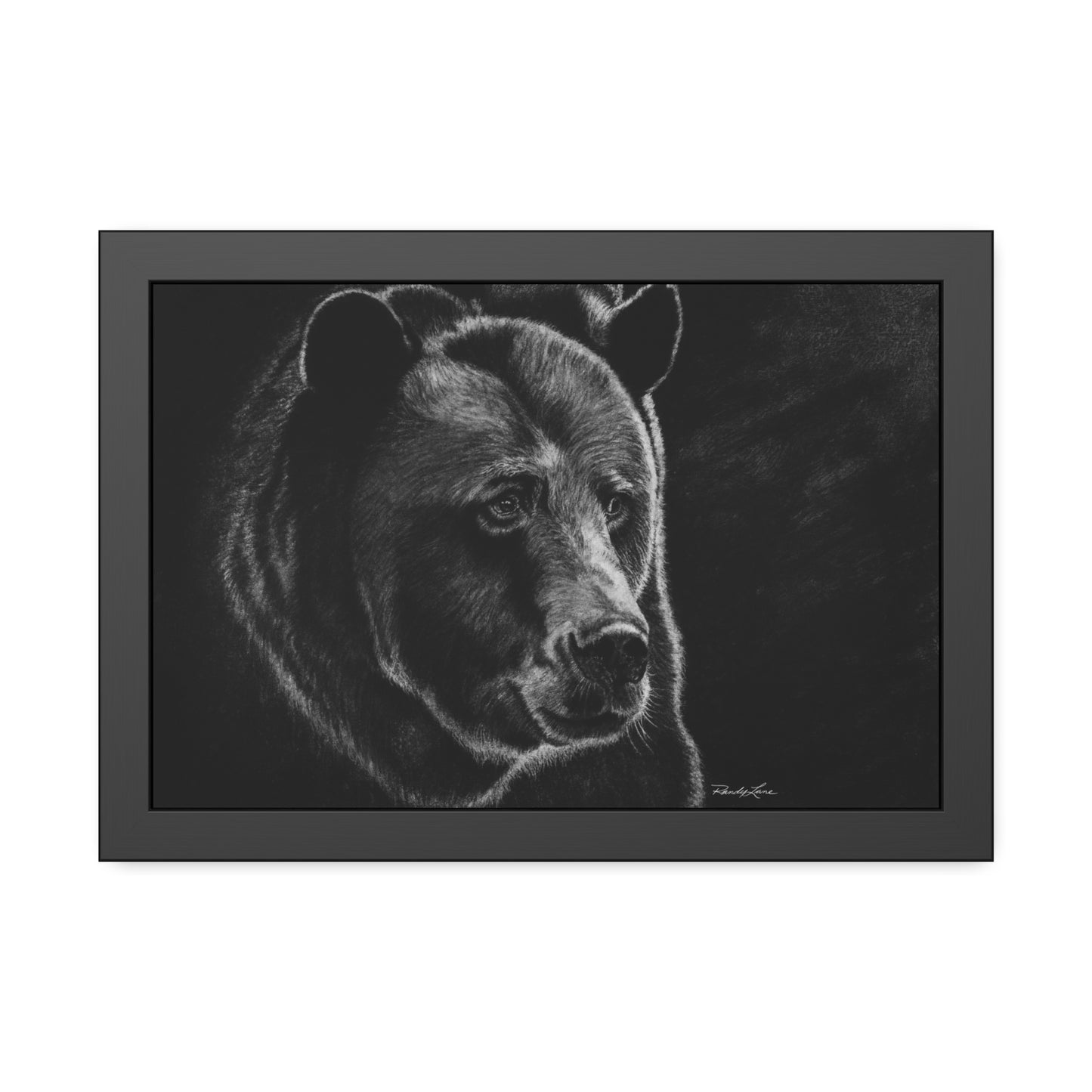 Dominance,  Bear Framed Fine Art Print