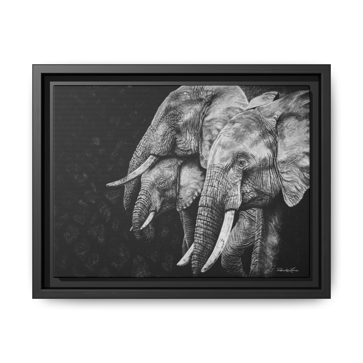 Brushland Bond. Elephant Art Framed Stretched Matte Canvas Print