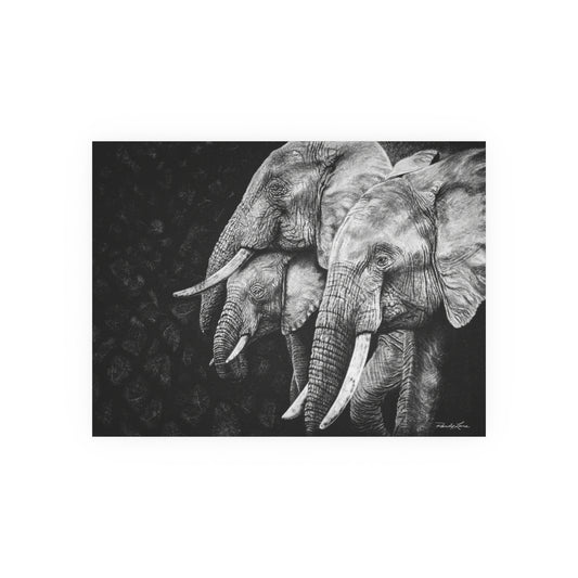 Brushland Bond, Elephant Fine Art Print