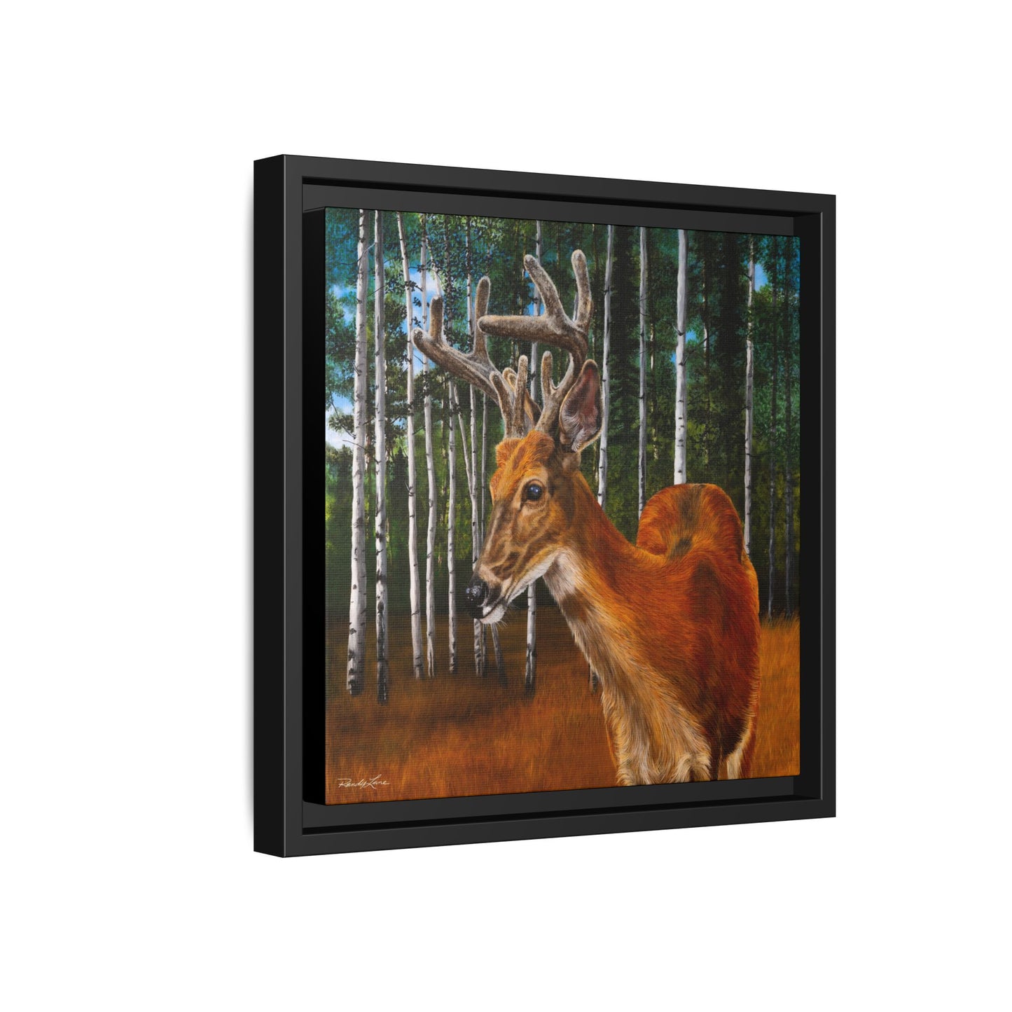 Velvet Crush, Framed Deer Canvas Art