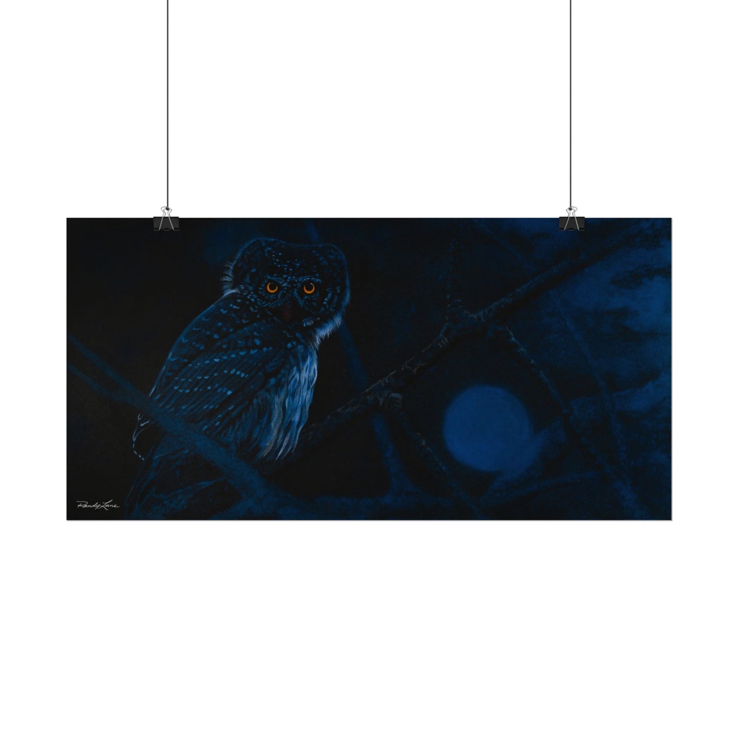 Bright Eyes, Owl Textured Art Print