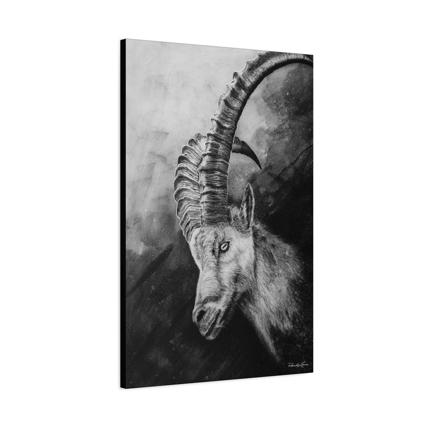 Apex, Alpine Mountain Goat Canvas Art, Stretched Wall Decor