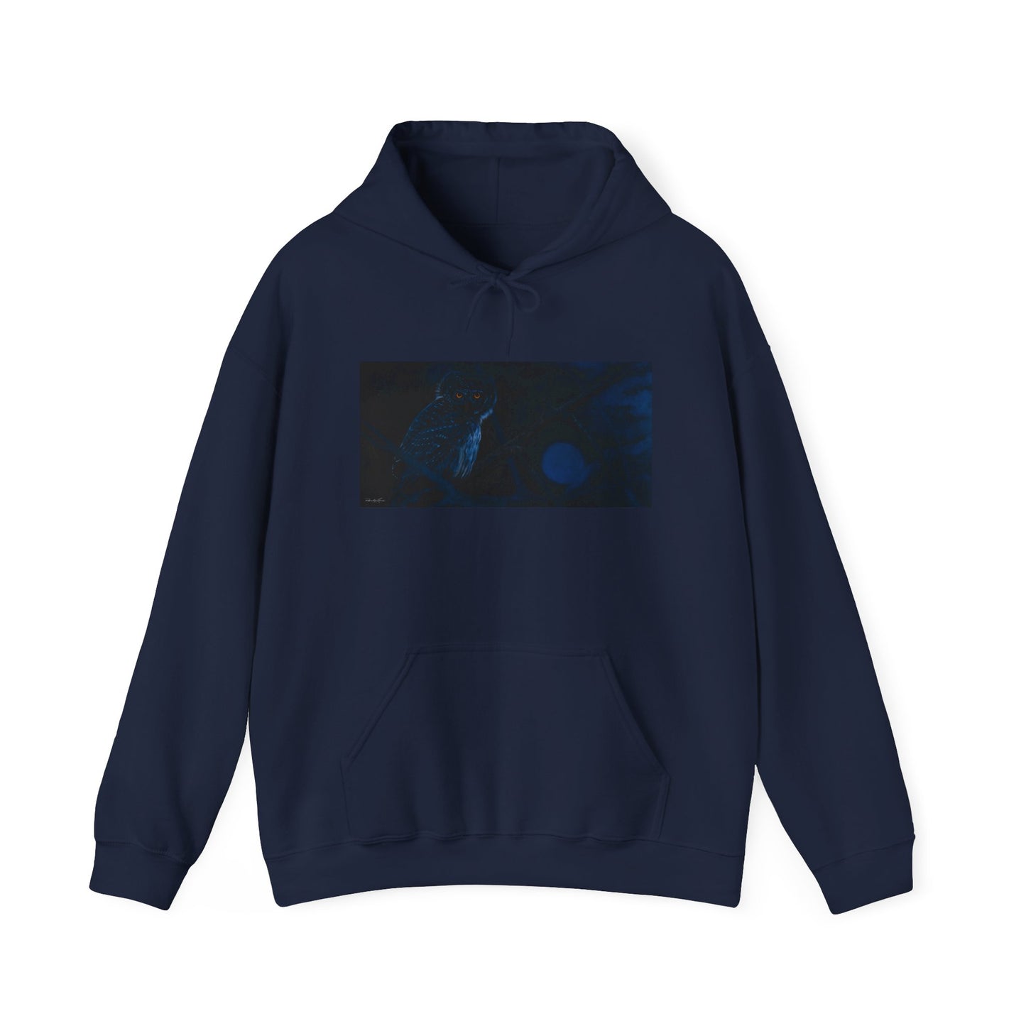 Bright Eyes, Owl print Cozy Unisex Hooded Sweatshirt