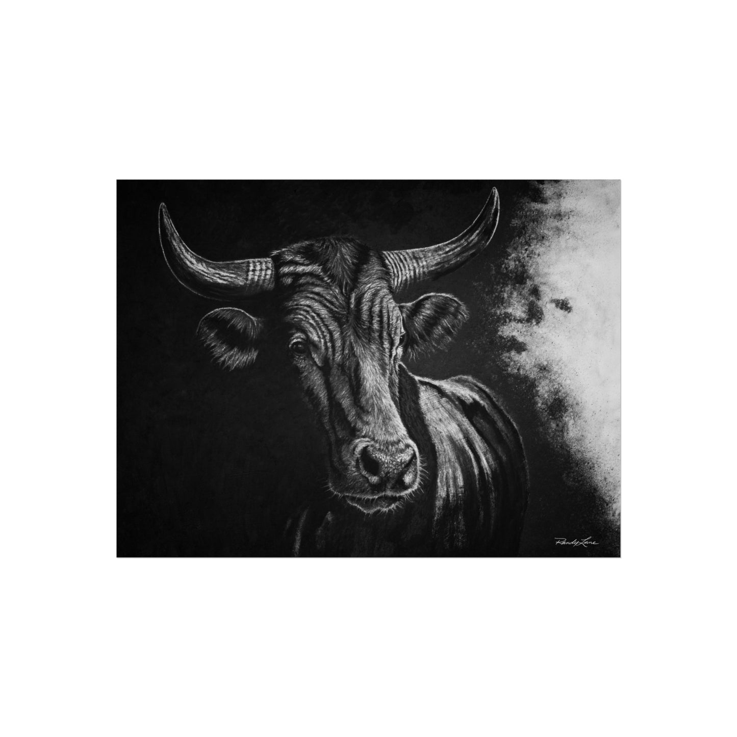 Stonebreaker. Bucking Bull Fine Art Print