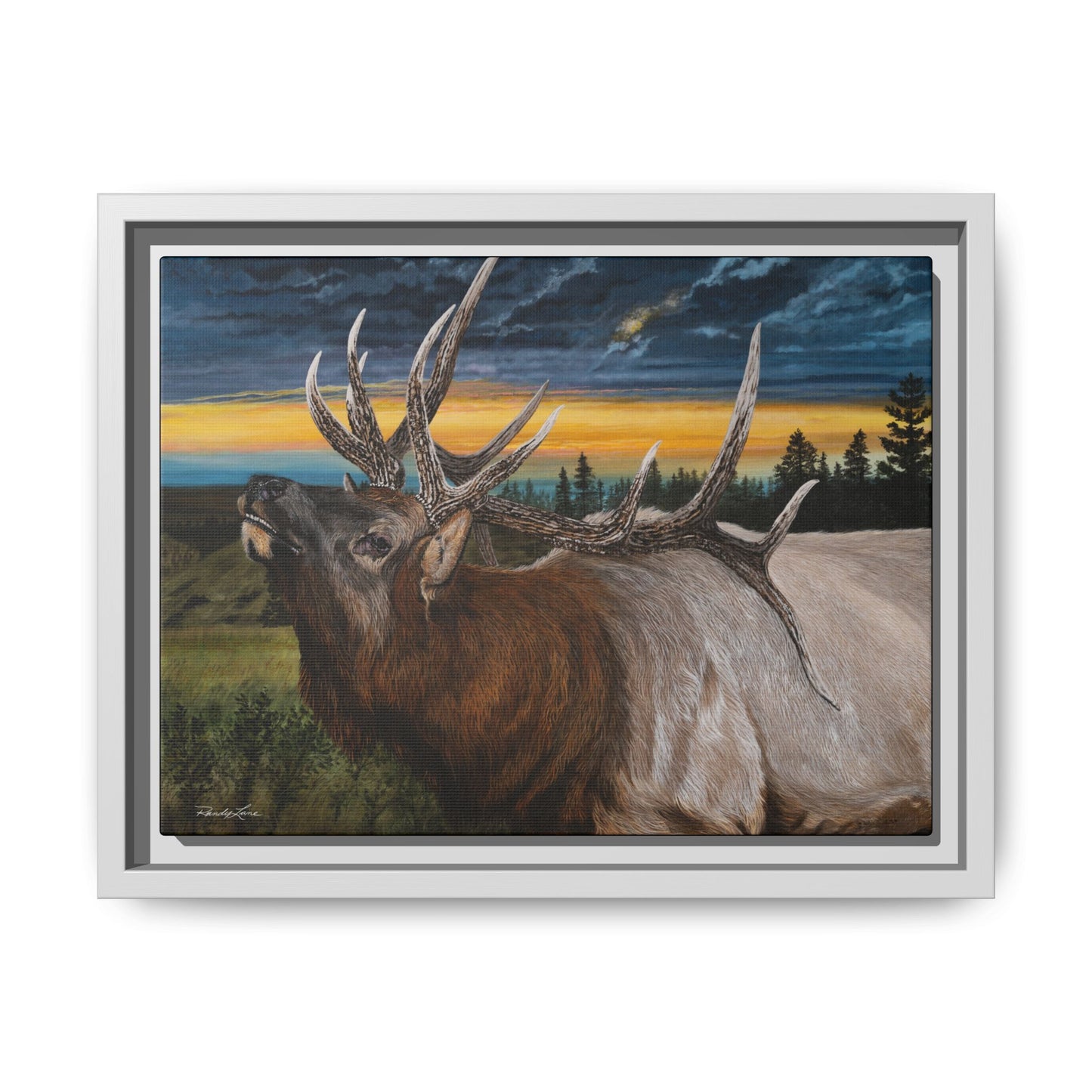 Sunset Serenade,  Elk Framed Matte Canvas Print