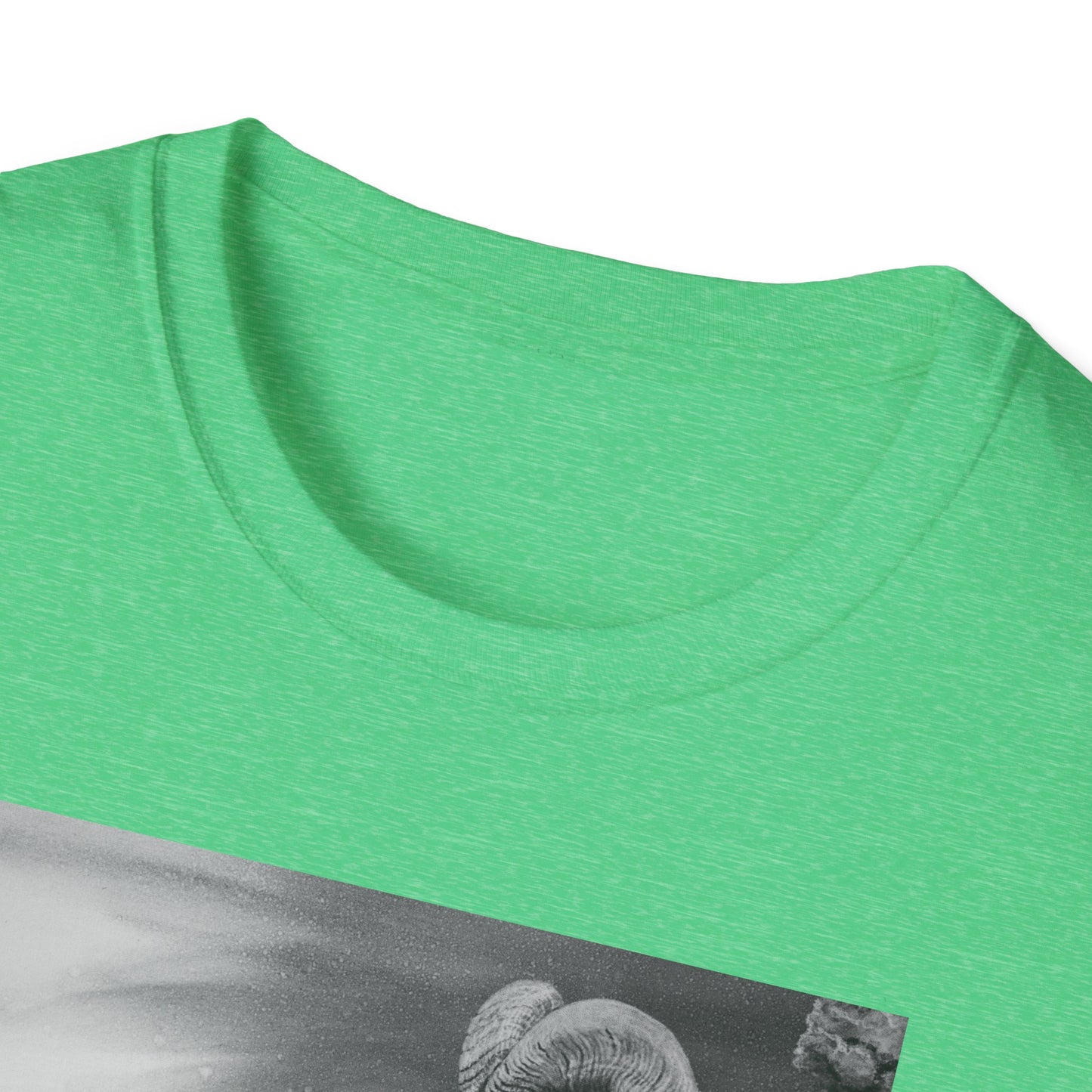 Legendary, Bighorn Sheep Unisex Softstyle Tee