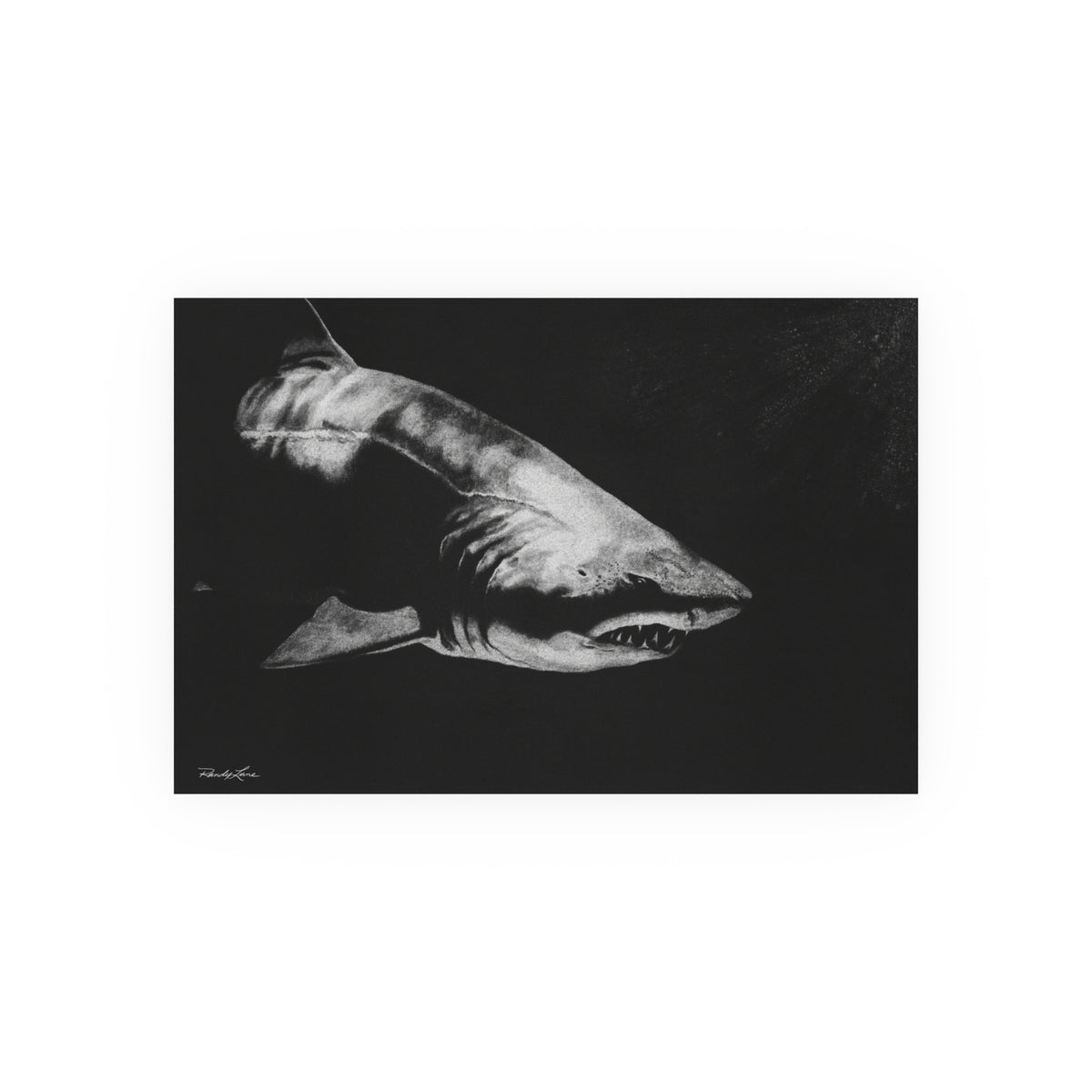 Below, Shark Fine Art Print, Satin/Matte Wall Art