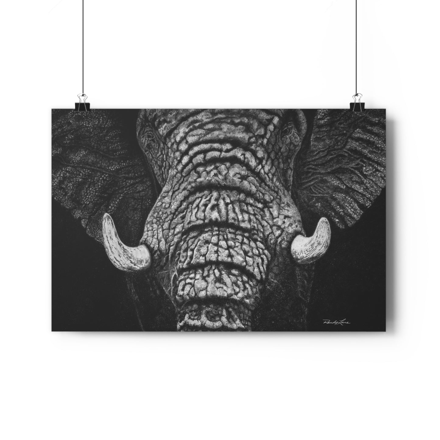 Ebony and Ivory, Elephant Giclée Art Print