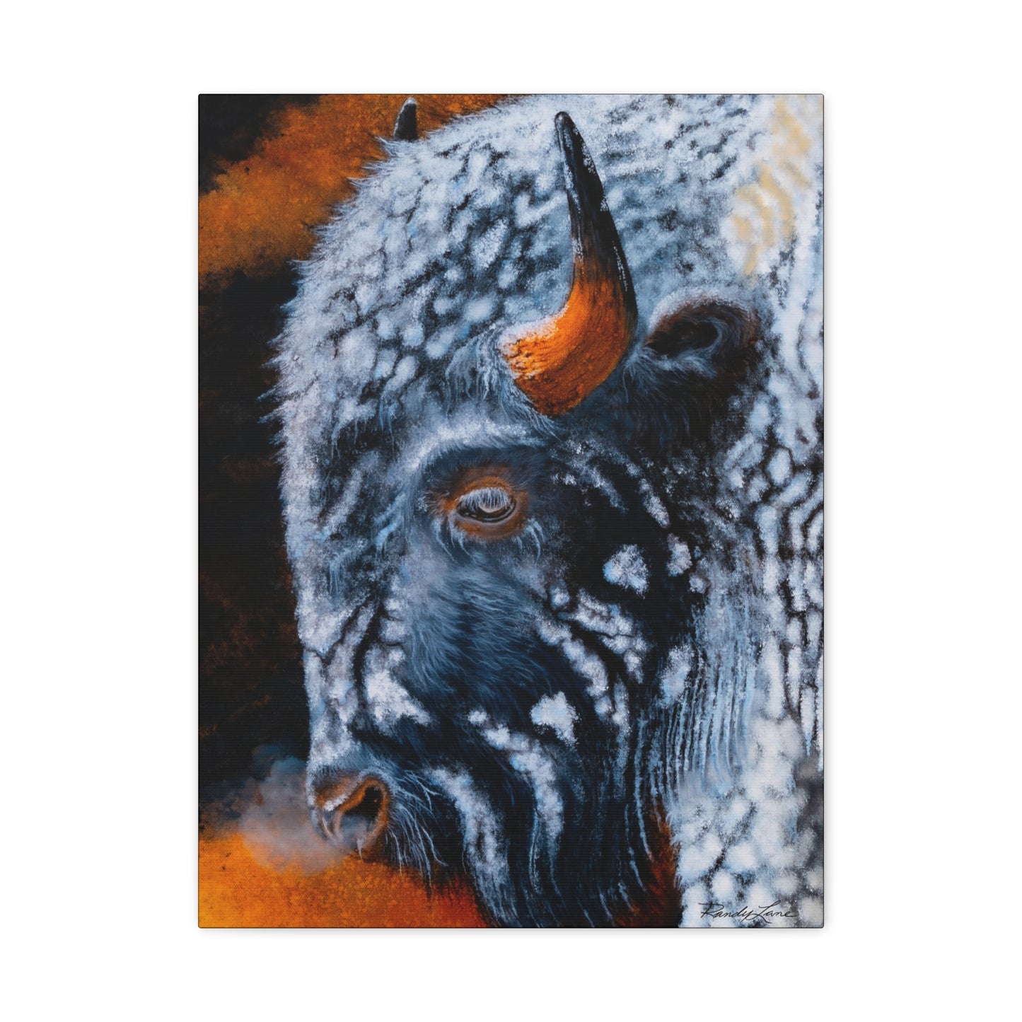 Storm Bison, Stretched Canvas Art Print