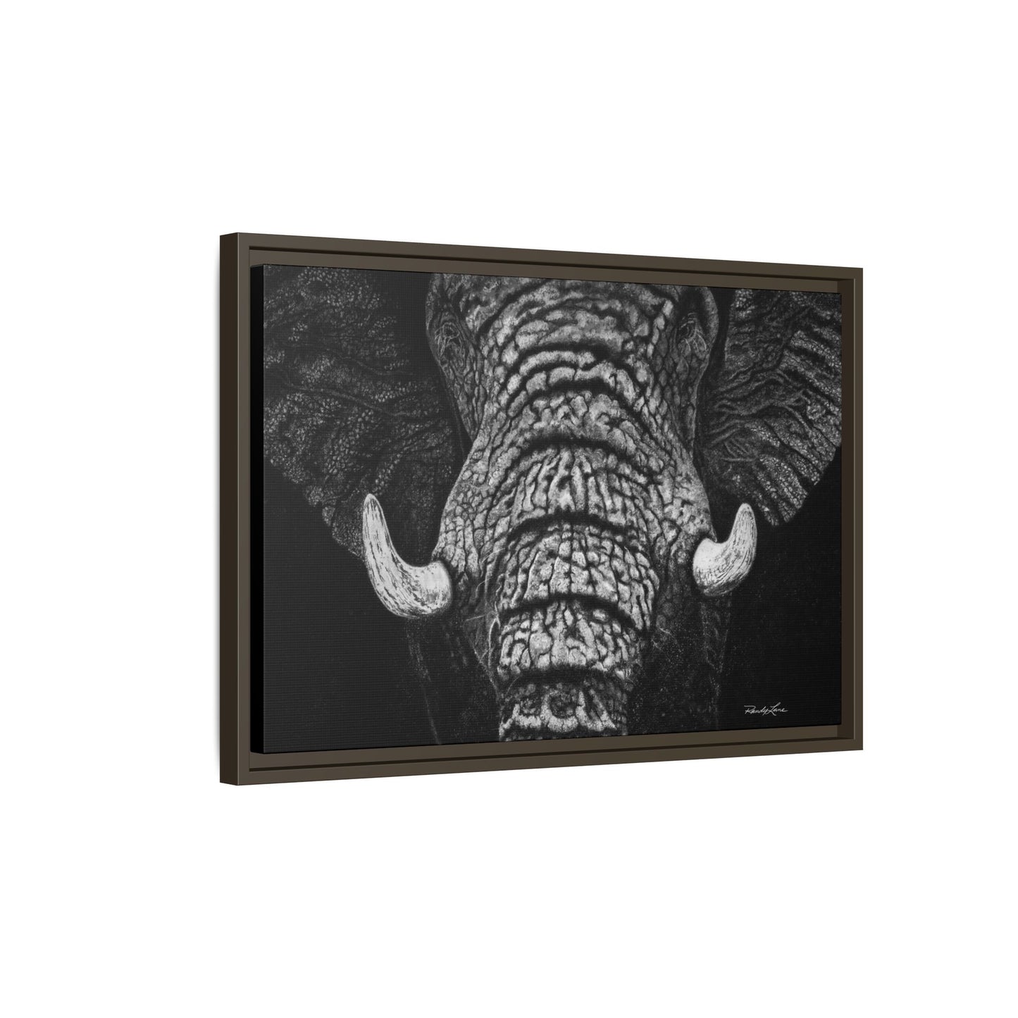Ebony and Ivory, Elephant Portrait Framed Canvas Wall Art