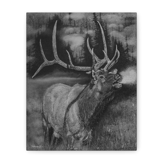 Mountain Music,  Elk Canvas Print