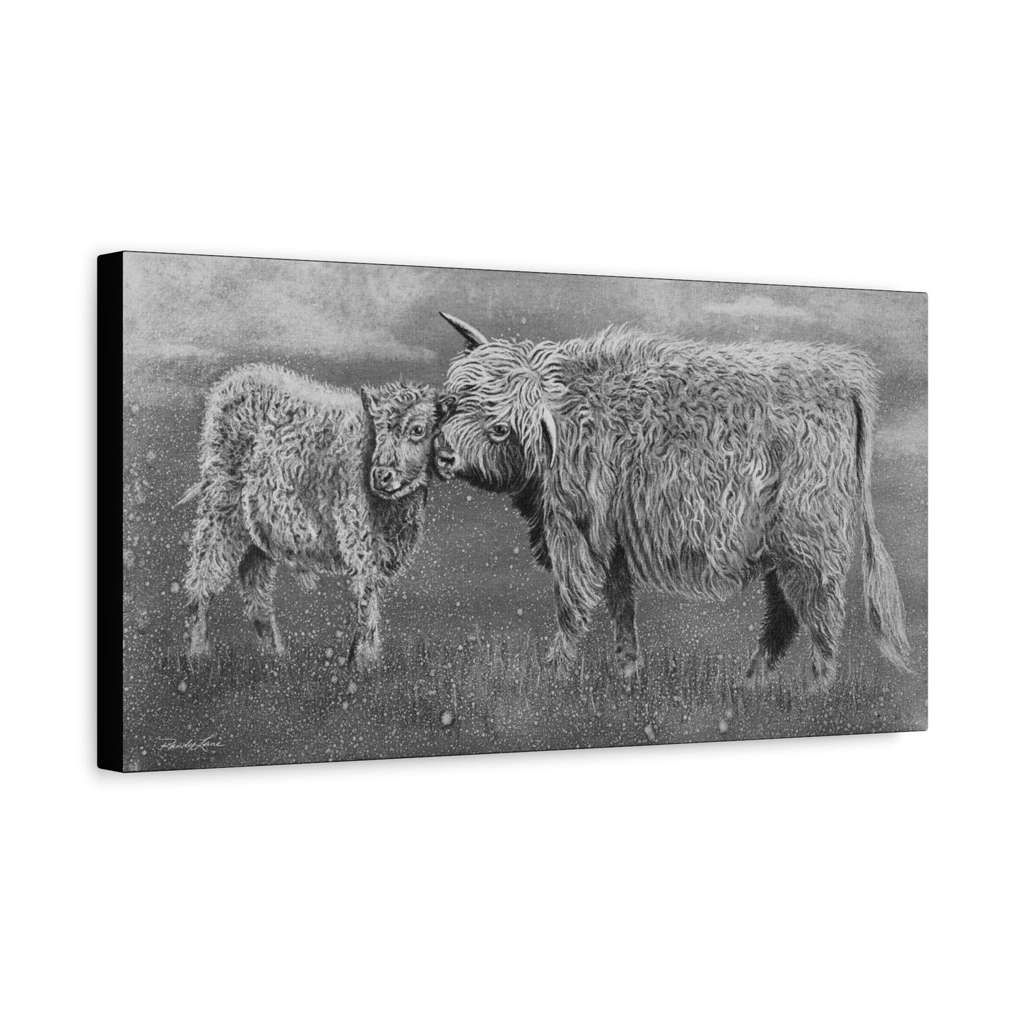 Highland Love, Highland Cattle Canvas Art
