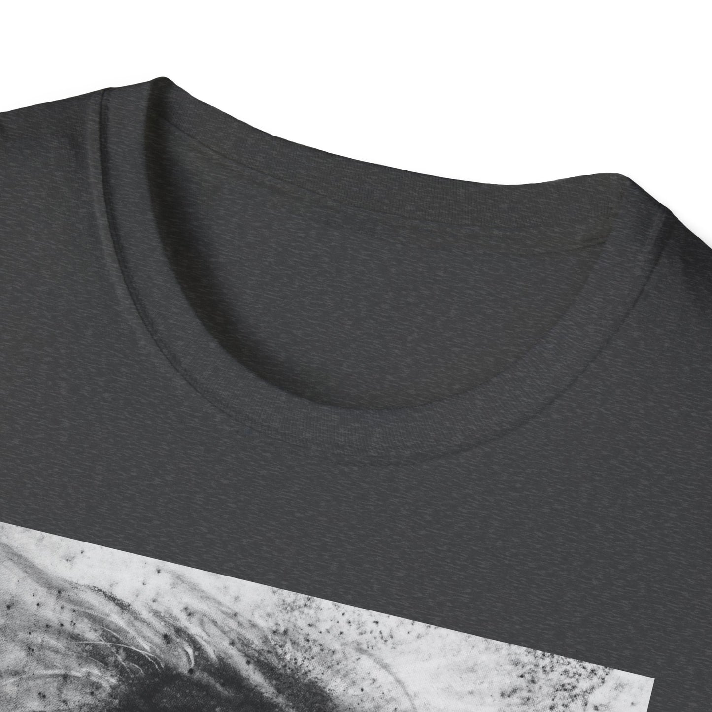 Let the Lion Roar, Lion Graphic Tee, Unisex T-Shirt