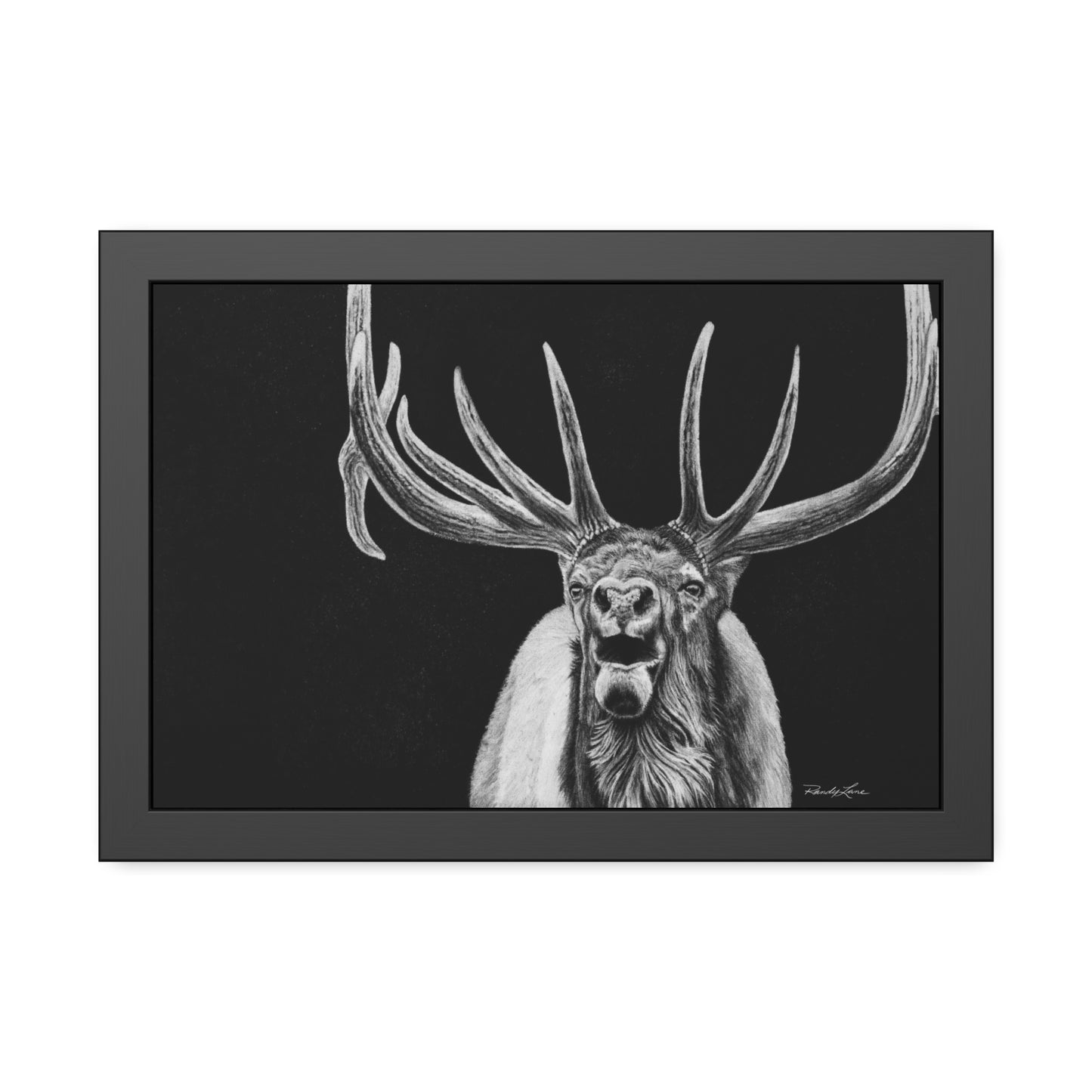 Heavy is the Crown, Framed Elk Fine Art Print