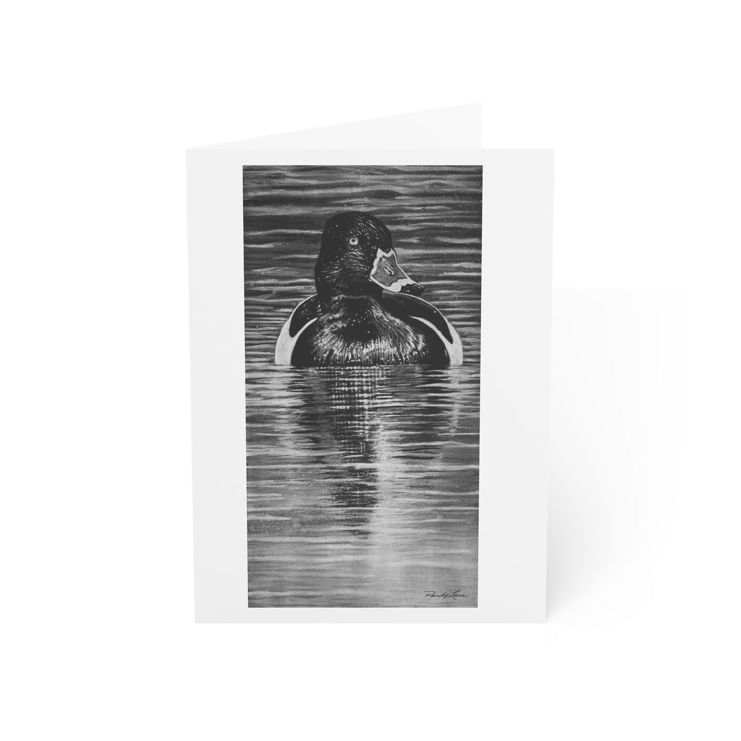 Reflection, Ring-necked Duck Greeting Cards — Black & White Waterfowl Art (Set of 1/10/30/50)