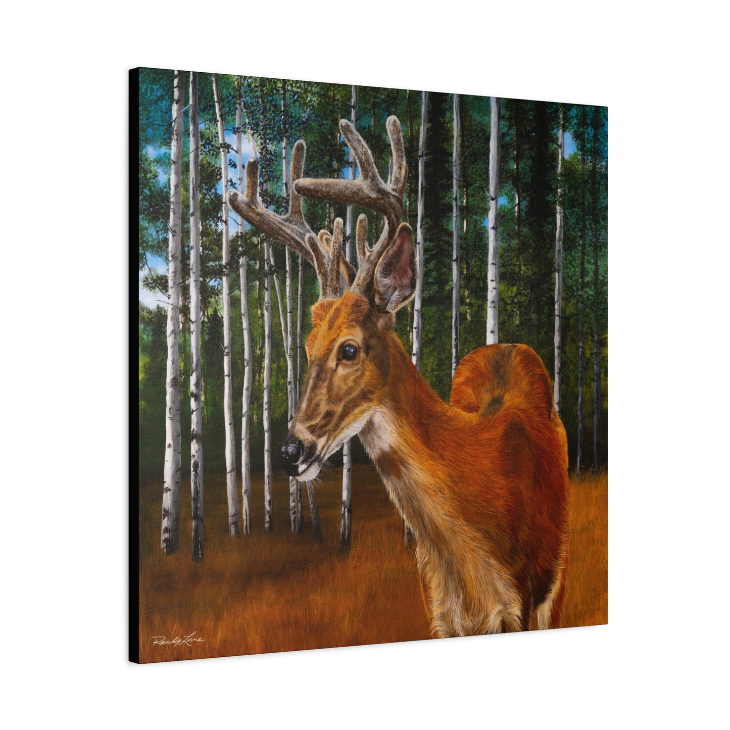 Velvet Crush,  Deer Canvas Wall Art
