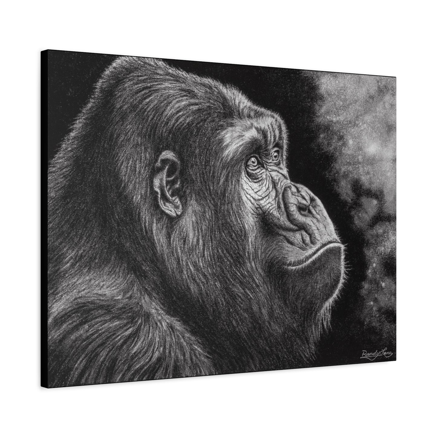 Gorilla, Artistic Gorilla Stretched Canvas Wall Art