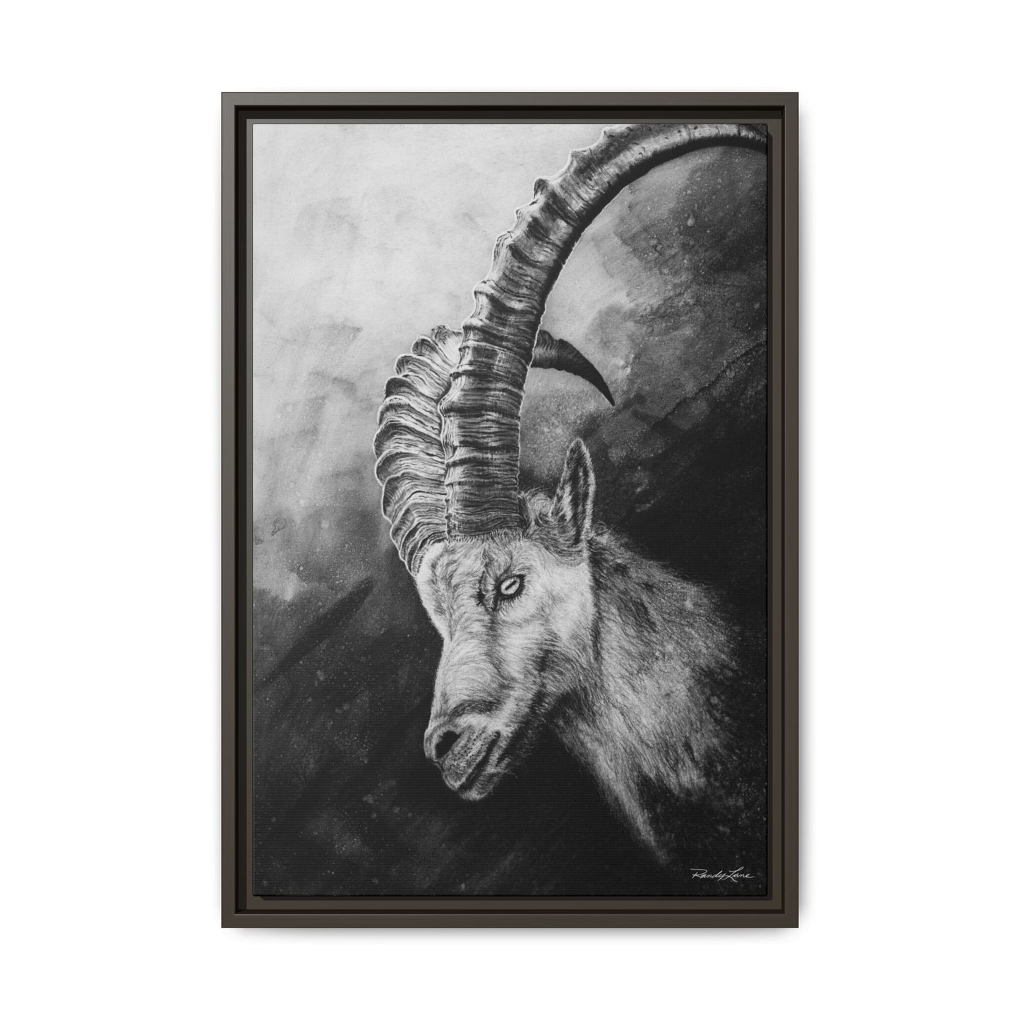 Apex,  Alpine Mountain Goat, Framed Matte Canvas Art Print,