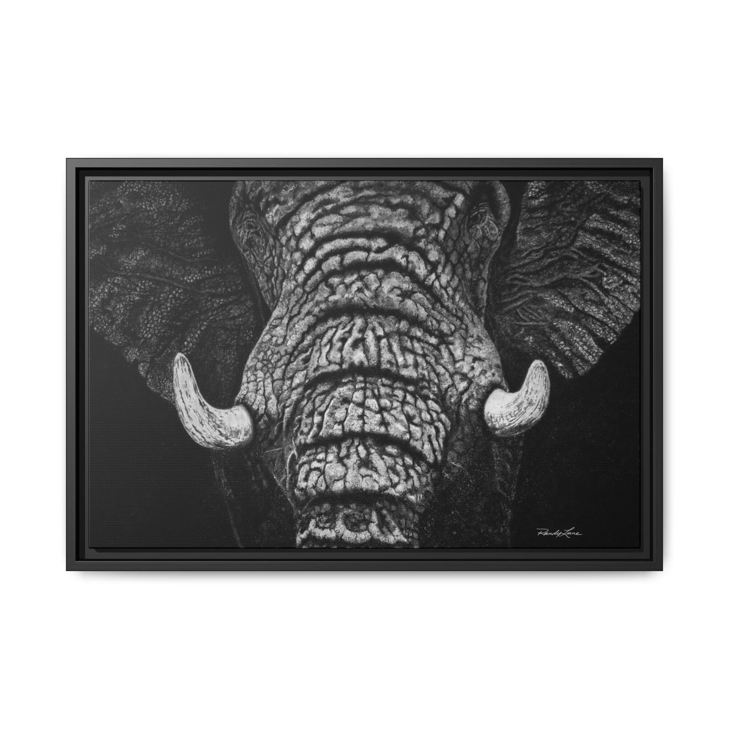Ebony and Ivory, Elephant Portrait Framed Canvas Wall Art