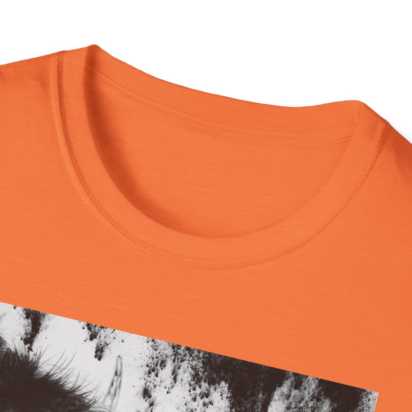 Pride, Bison Graphic Tee, Unisex Softstyle T-Shirt