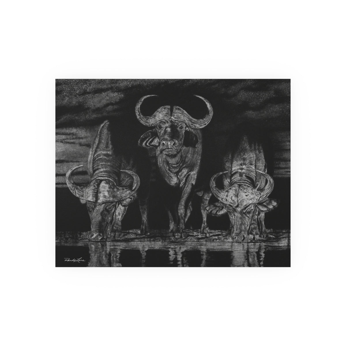 The Waterhole, Cape Buffalo Fine Art Print