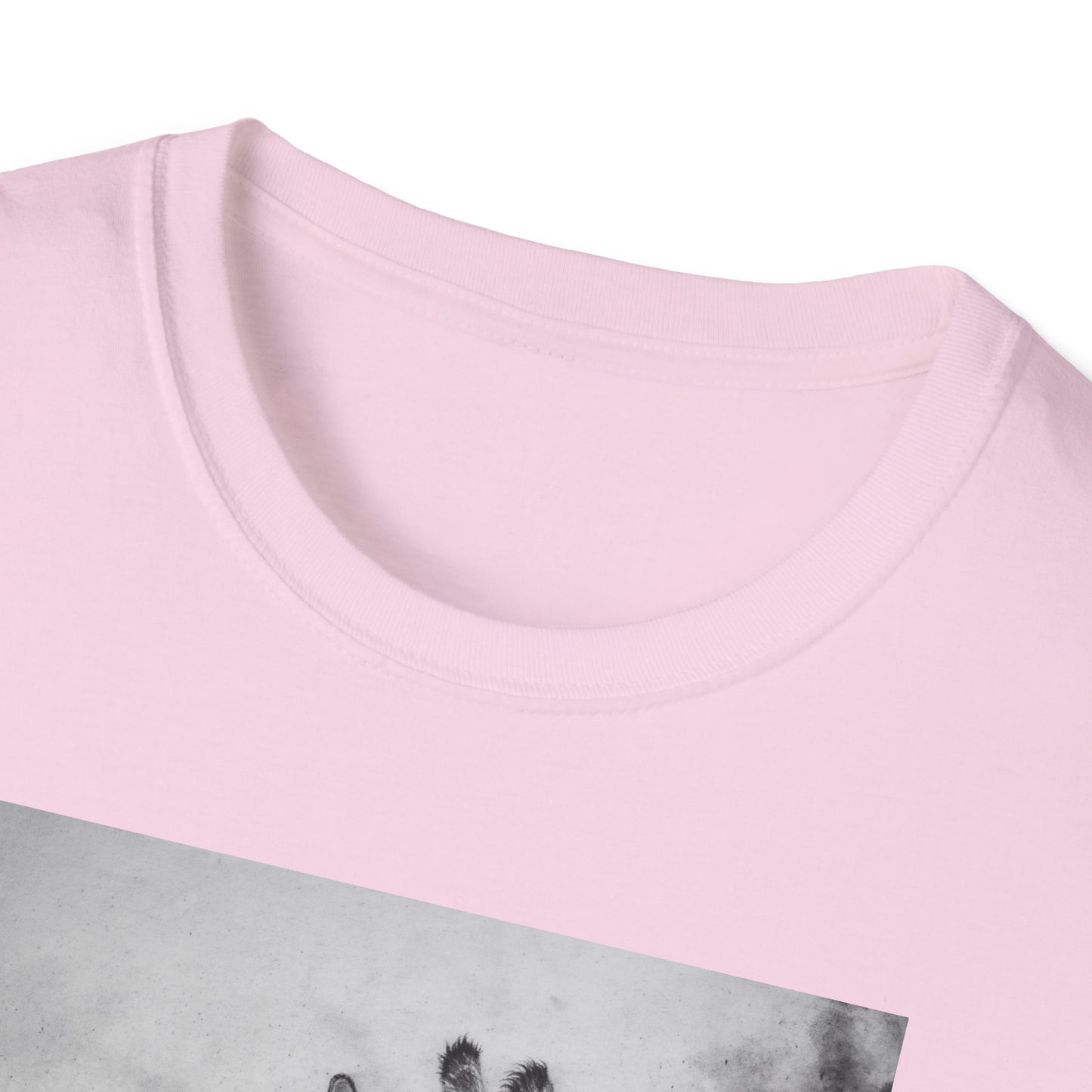 Grace in the Grassland, Giraffe Unisex Softstyle T-Shirt