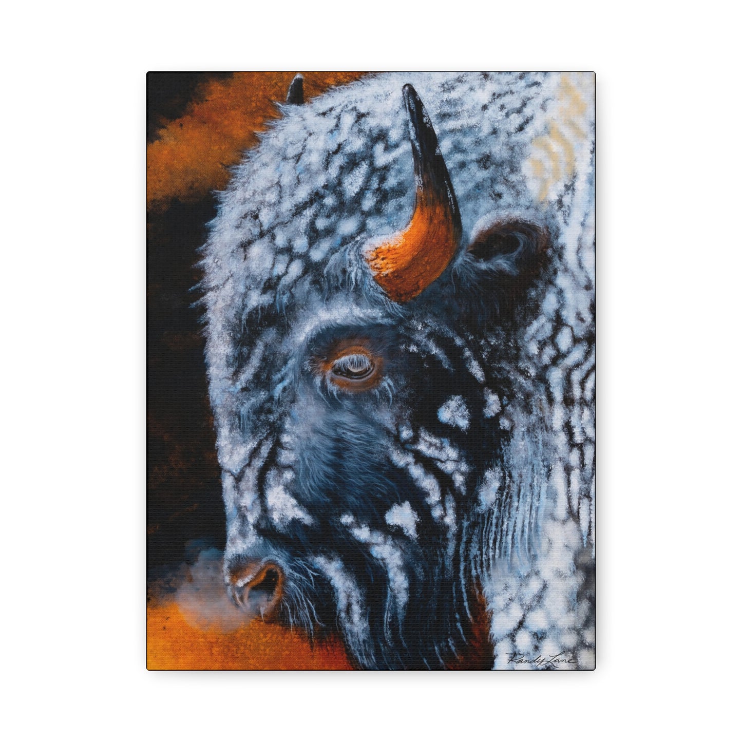 Storm Bison, Stretched Canvas Art Print
