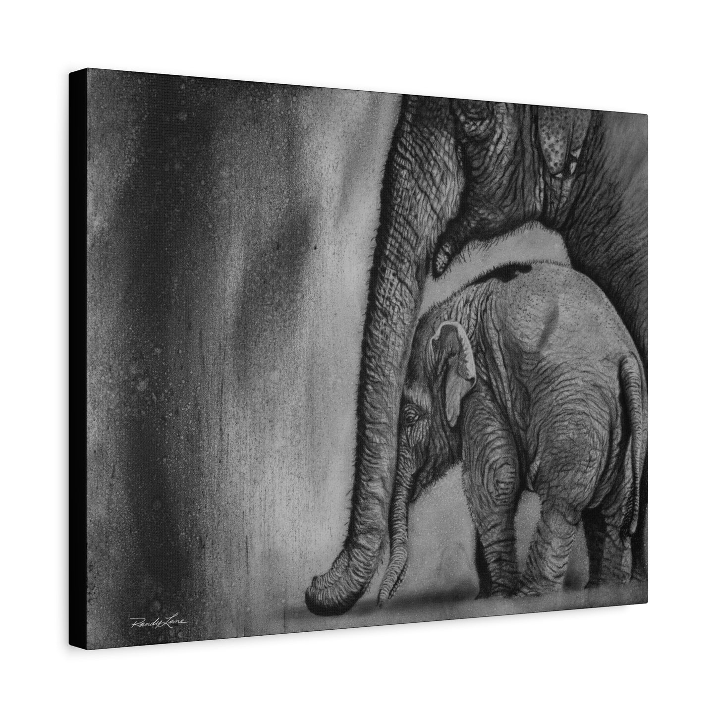 Trunks of Love, Elephant Canvas Art Print