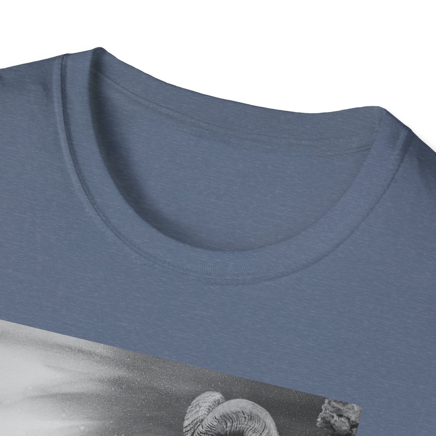 Legendary, Bighorn Sheep Unisex Softstyle Tee