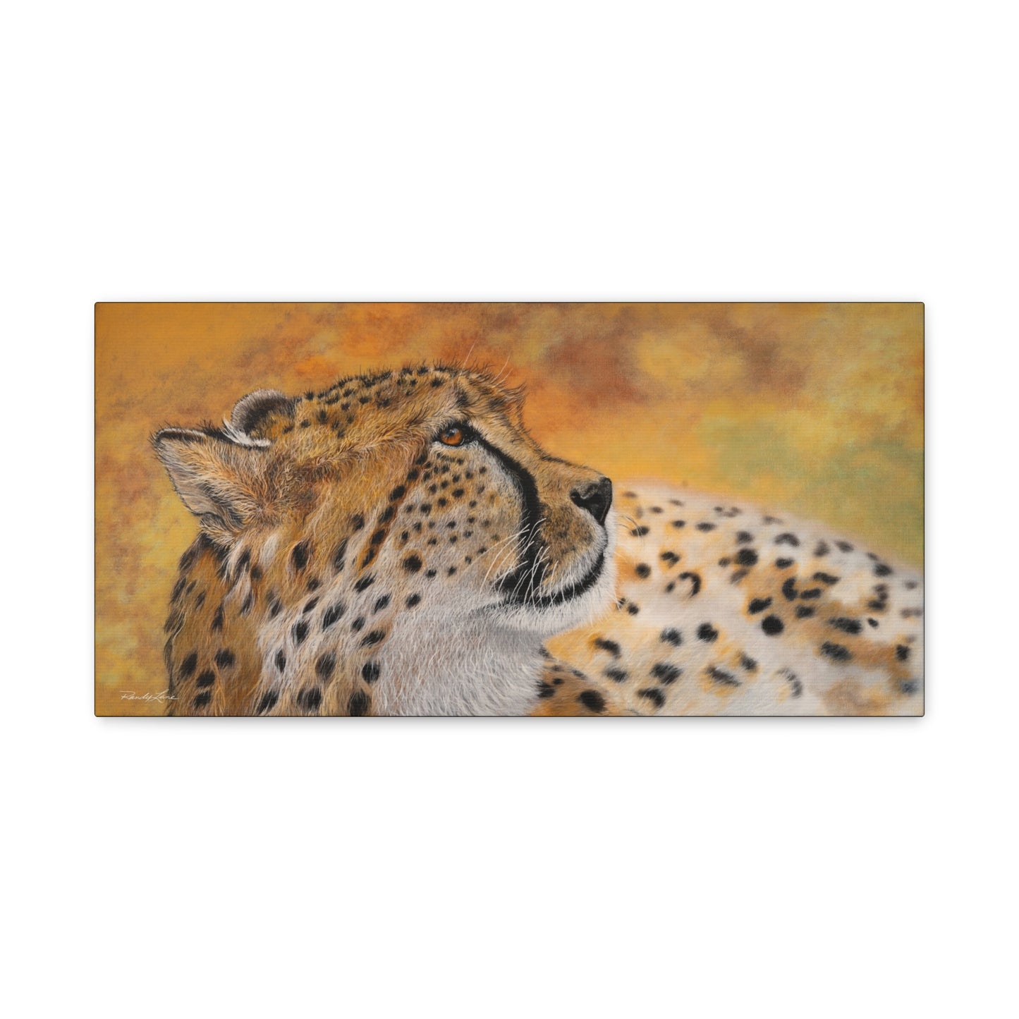 Cheetah Chill,  Canvas Cheetah Wall Art,