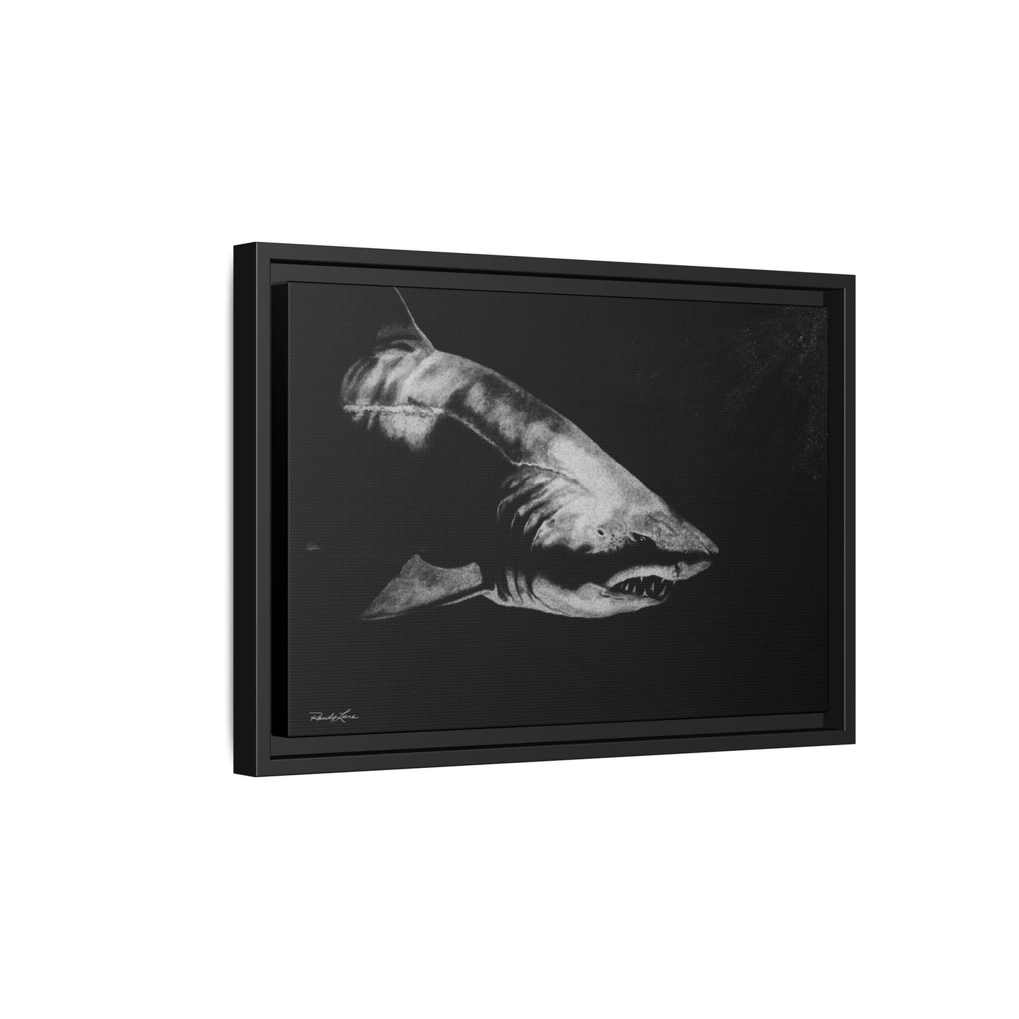 Below, Framed Shark Fine Art Print, Matte Canvas Wall Decor