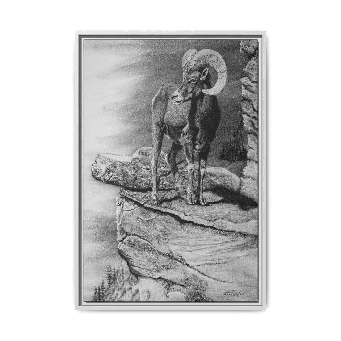Legendary, Bighorn Sheep Framed Matte Stretched Canvas