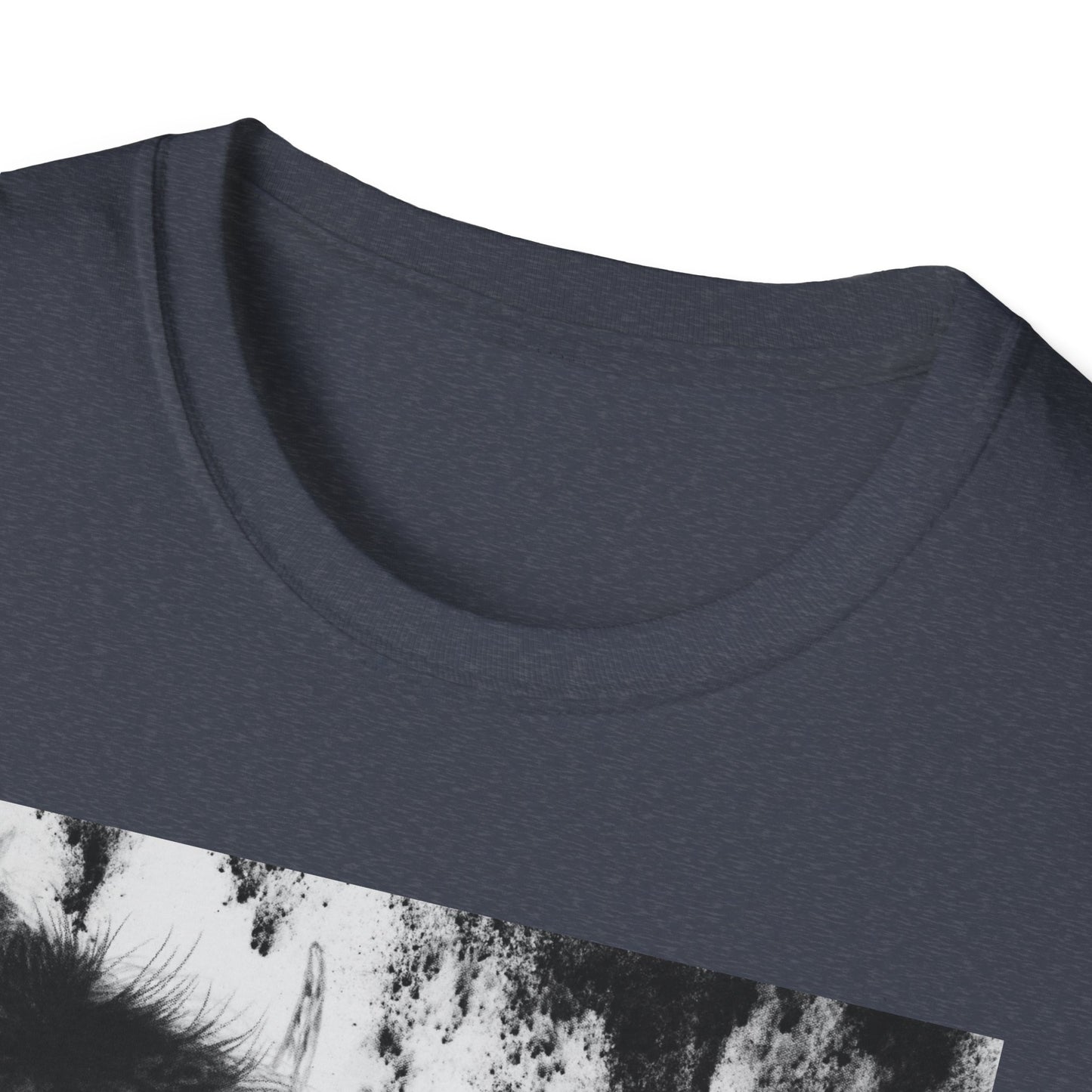 Pride, Bison Graphic Tee, Unisex Softstyle T-Shirt