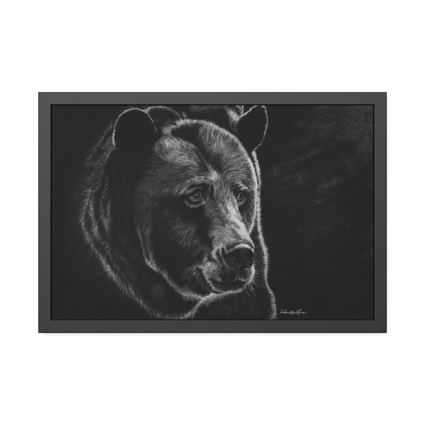 Dominance,  Bear Framed Fine Art Print