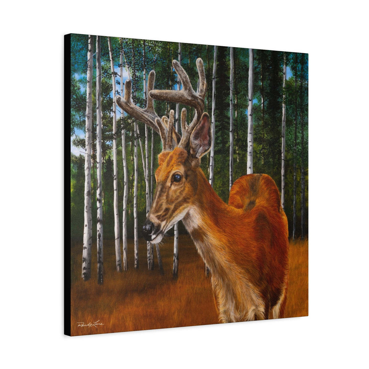 Velvet Crush,  Deer Canvas Wall Art