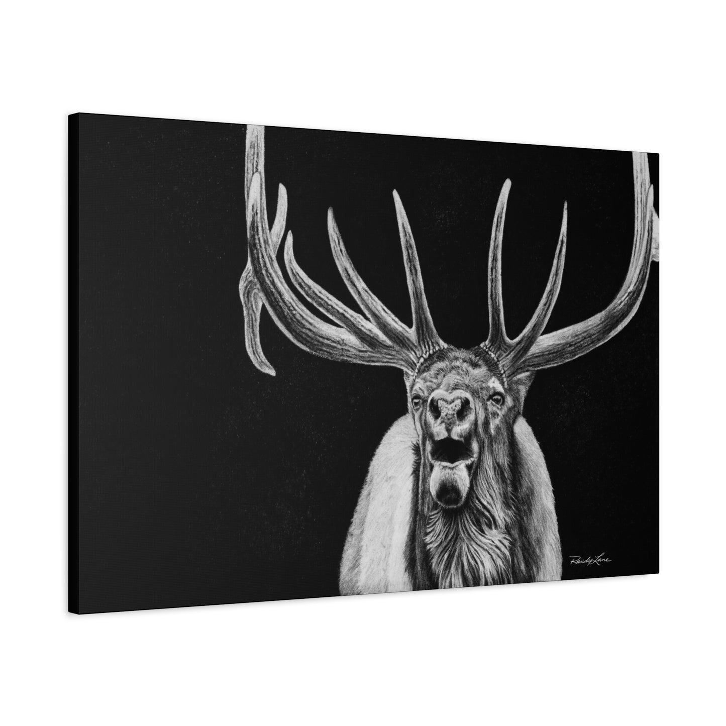 Heavy is the Crown, Matte Canvas Elk, Stretched, 1.25"