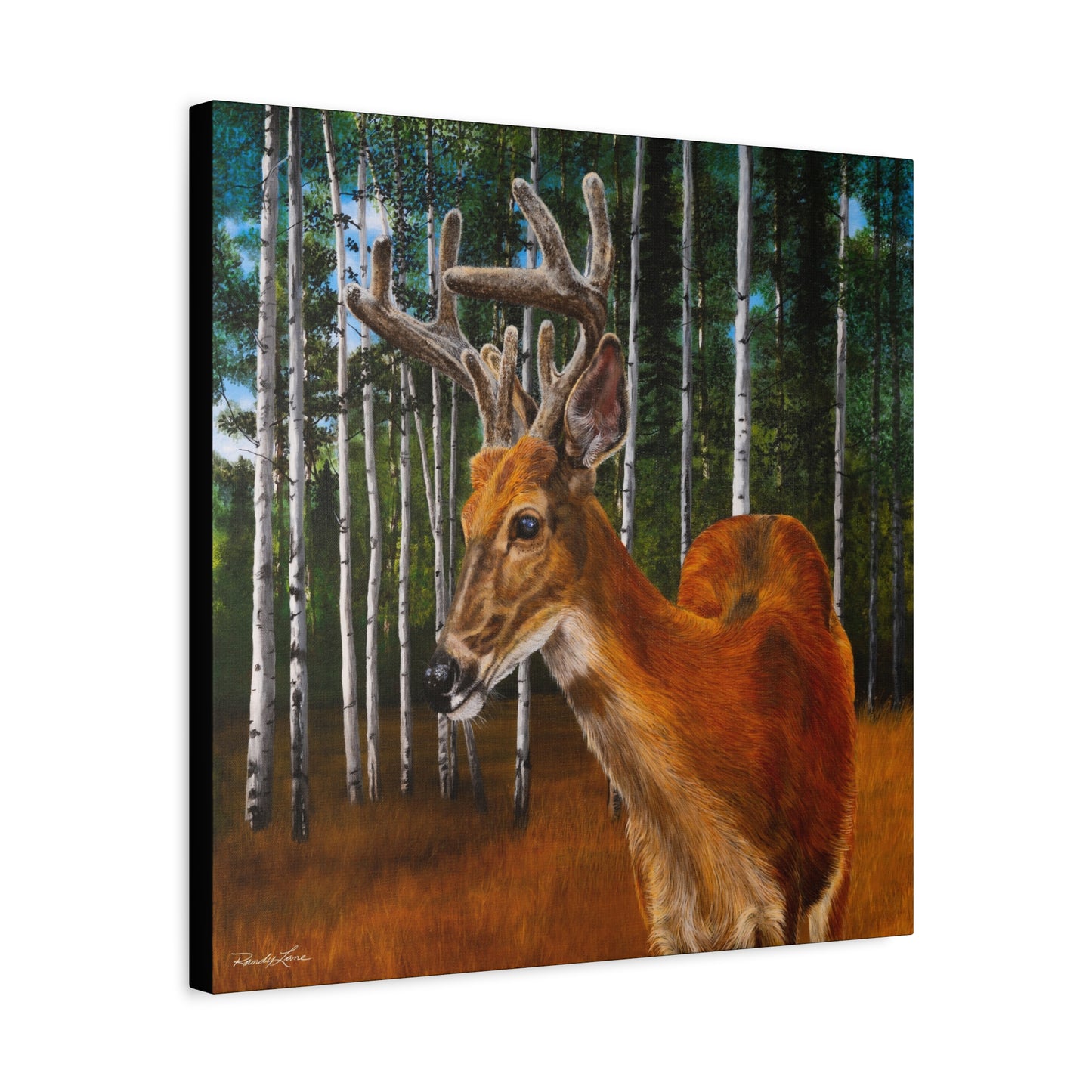 Velvet Crush,  Deer Canvas Wall Art