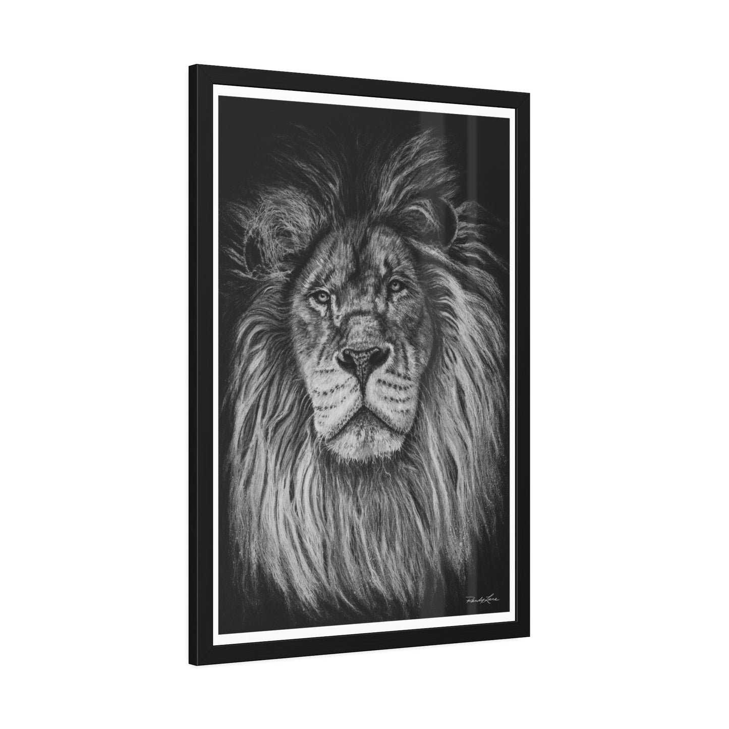 The Mane Event, Framed Fine Art Lion Prints