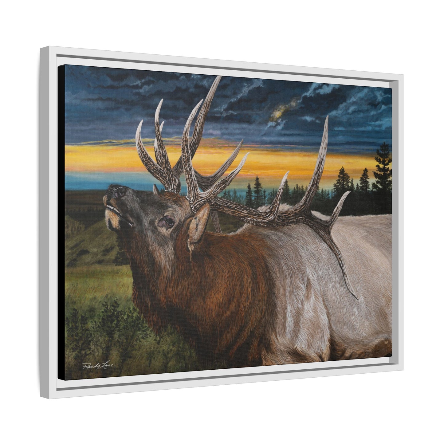 Sunset Serenade,  Elk Framed Matte Canvas Print